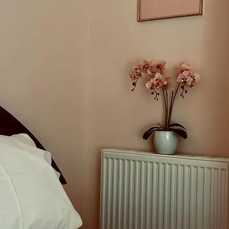 Danais Luxury House *